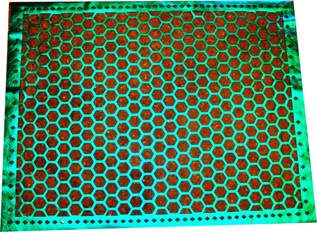 Lasercut foiled leather for Varsha